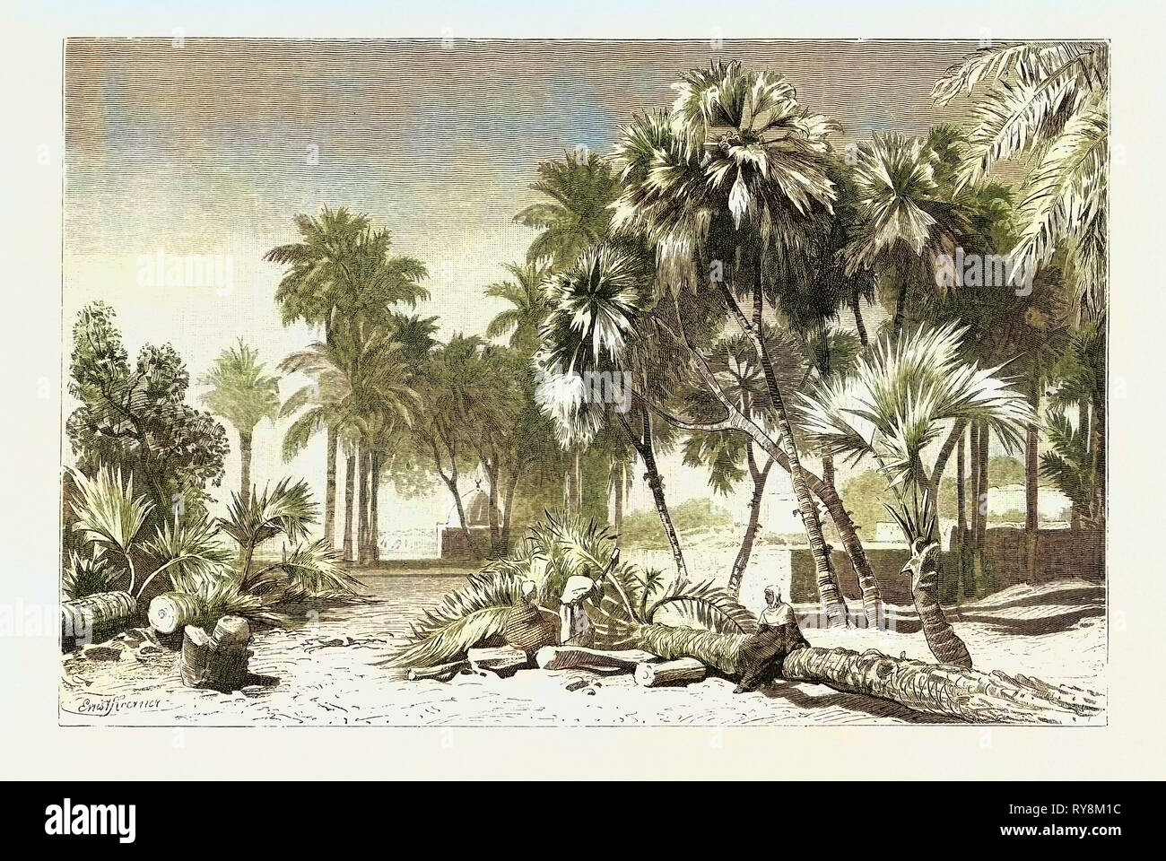 Data e Doom Palms. Egitto, incisione 1879 Foto Stock
