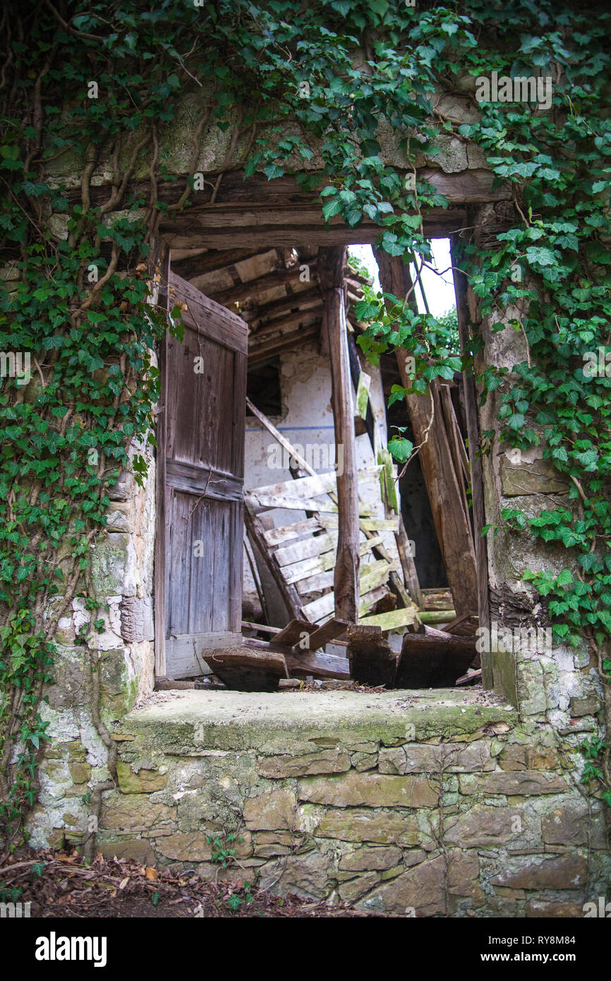 Un ingresso al granaio di una casa abbandonata ricoperta con poison ivy. La casa si trova in un villaggio abbandonato Slapnik nella regione Goriška Brda, Slovenia. Foto Stock
