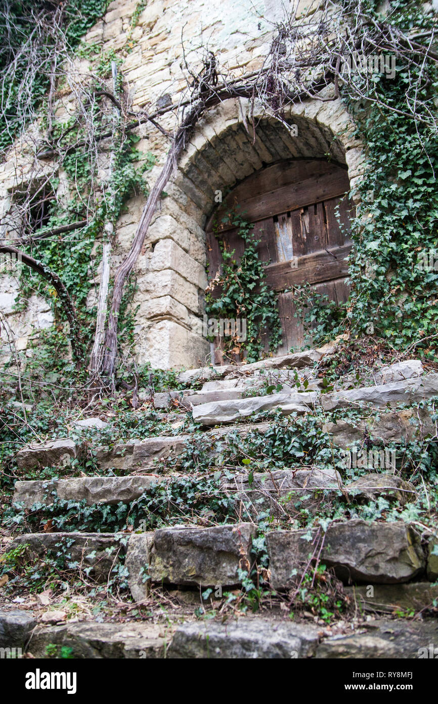 Passi che conduce ad un ingresso alla casa abbandonata ricoperta con poison ivy. La casa si trova in un villaggio abbandonato Slapnik nella regione Goriška Brda, Slo Foto Stock