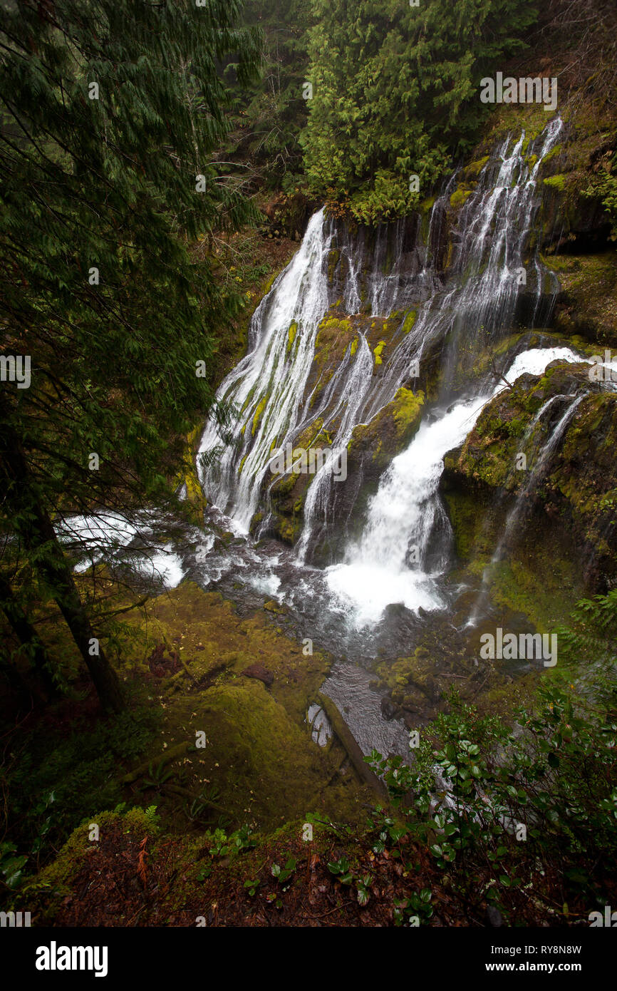 Panther Creek Falls, Skamania County, Washington, Stati Uniti d'America Foto Stock