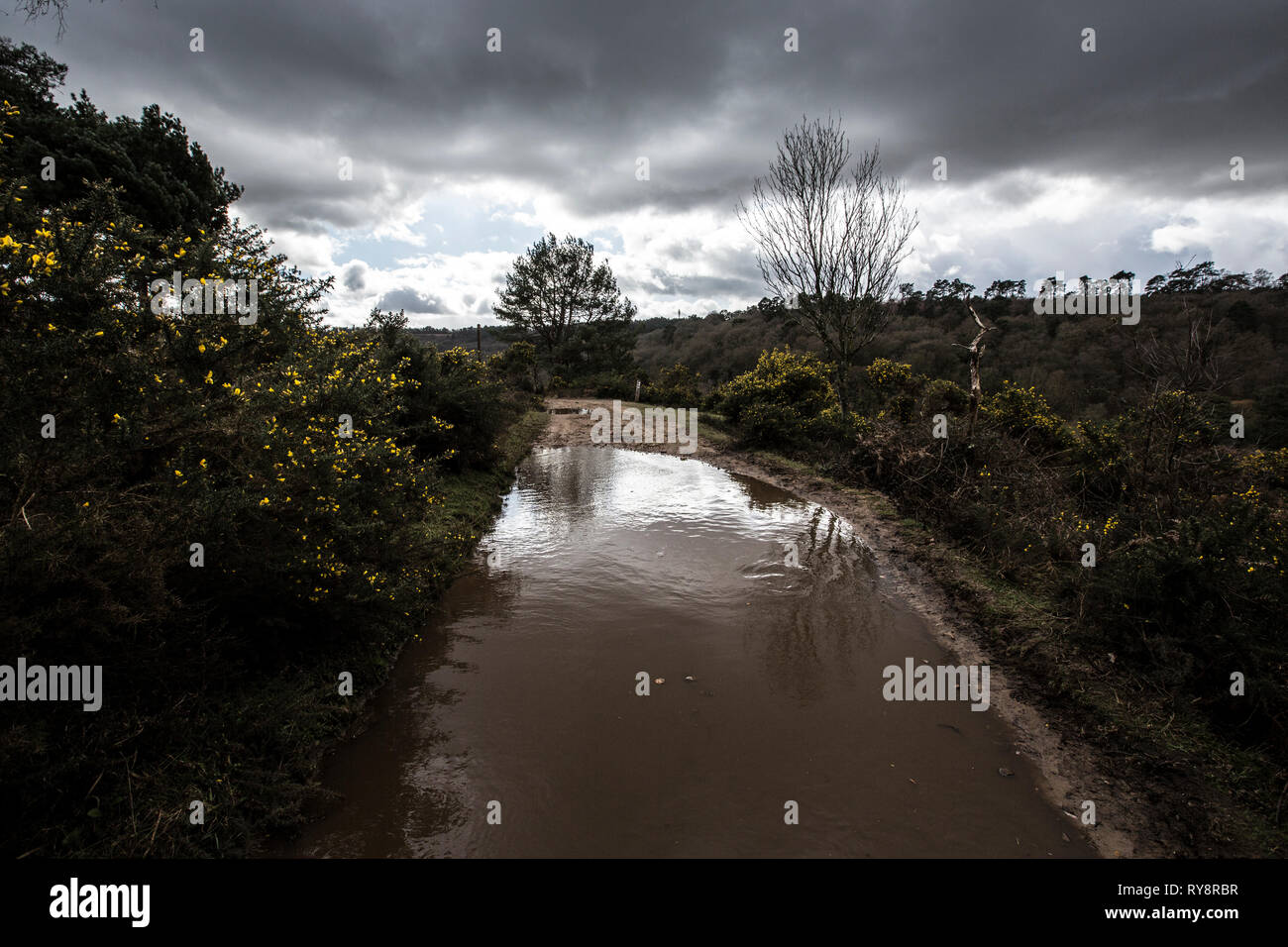Devil's Punch Bowl, 282.2-ettaro sito biologico di speciale interesse scientifico a est di Hindhead nel Surrey, Inghilterra, Regno Unito Foto Stock