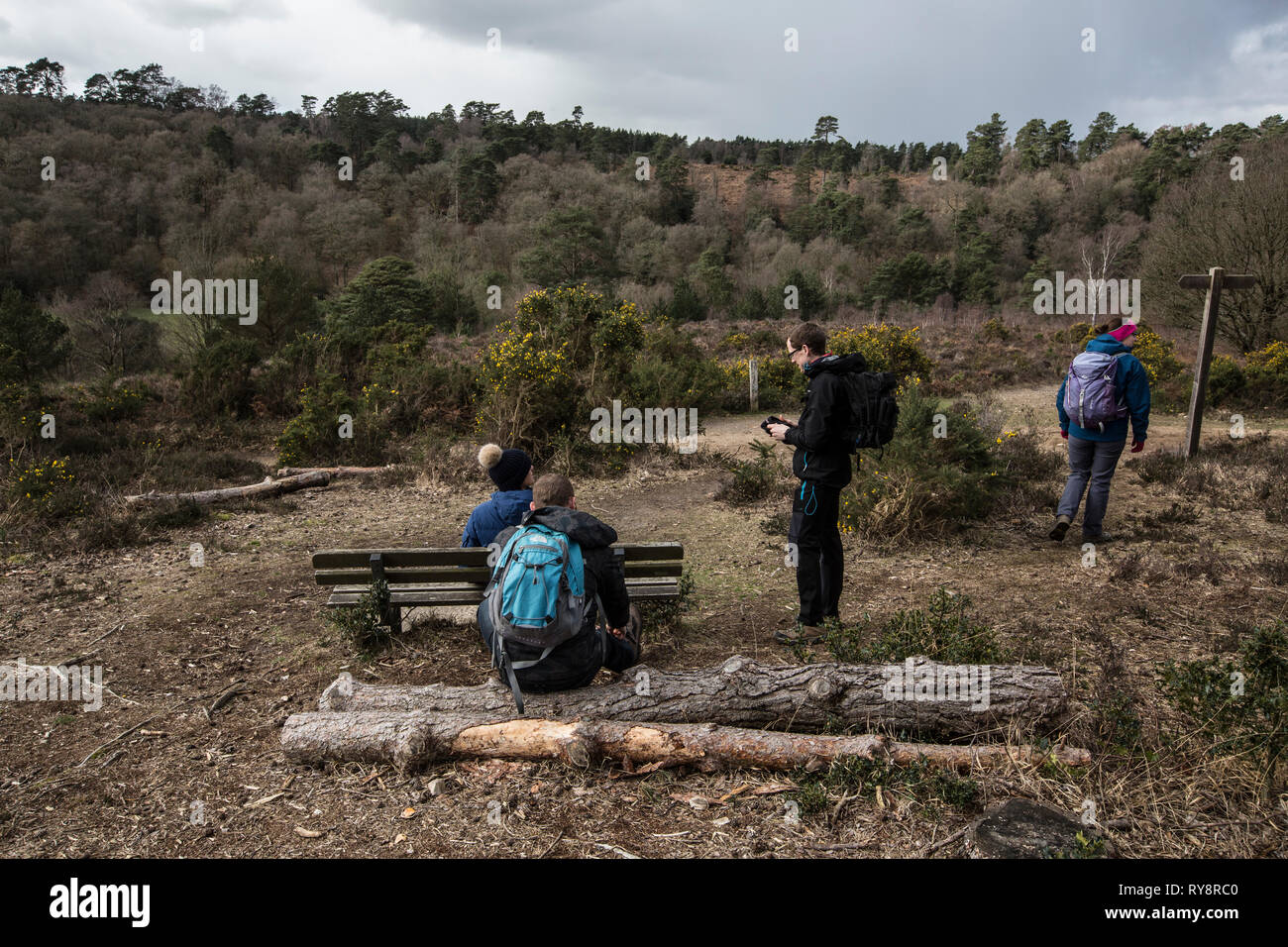 Devil's Punch Bowl, 282.2-ettaro sito biologico di speciale interesse scientifico a est di Hindhead nel Surrey, Inghilterra, Regno Unito Foto Stock