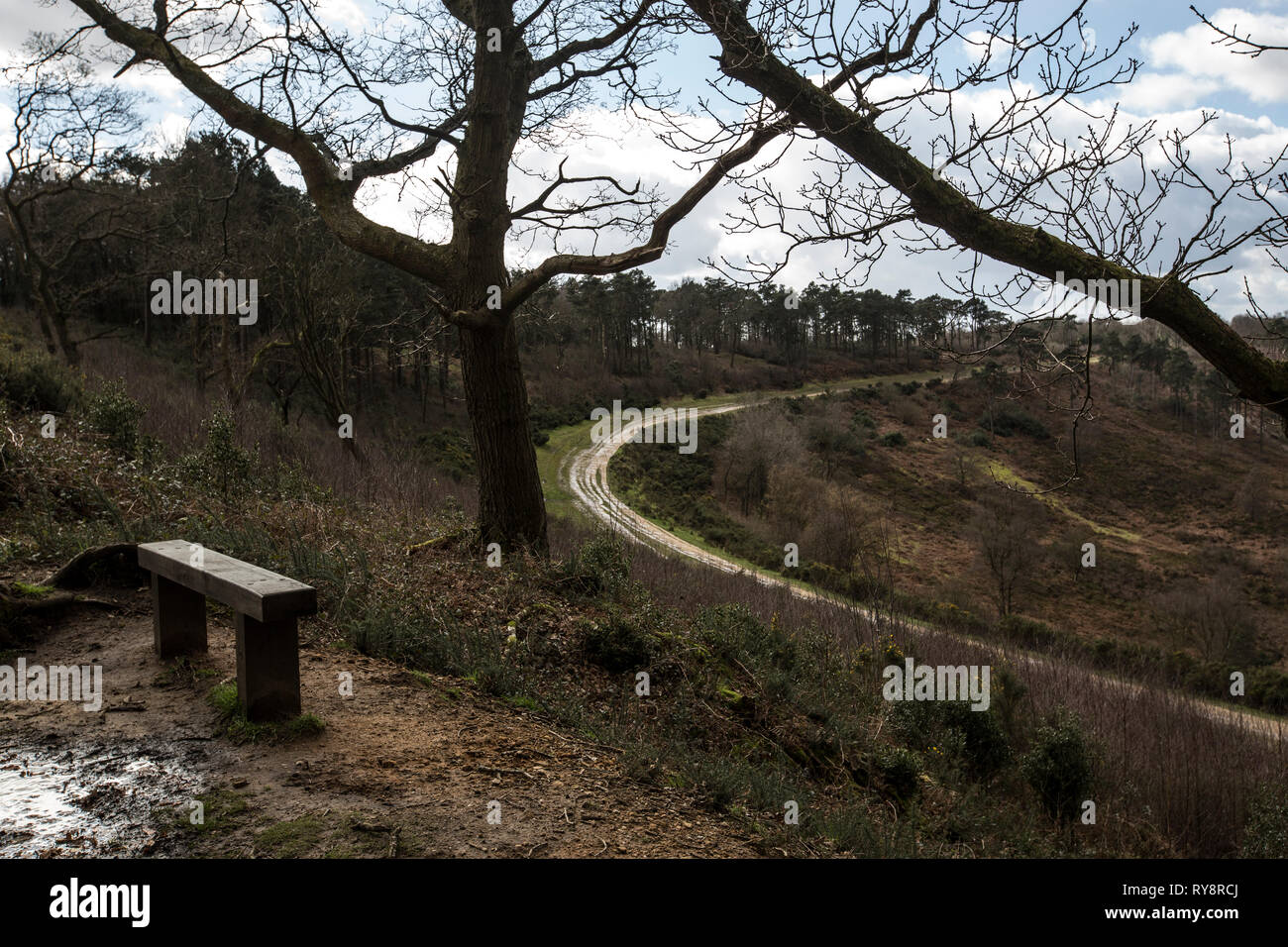 Devil's Punch Bowl, 282.2-ettaro sito biologico di speciale interesse scientifico a est di Hindhead nel Surrey, Inghilterra, Regno Unito Foto Stock