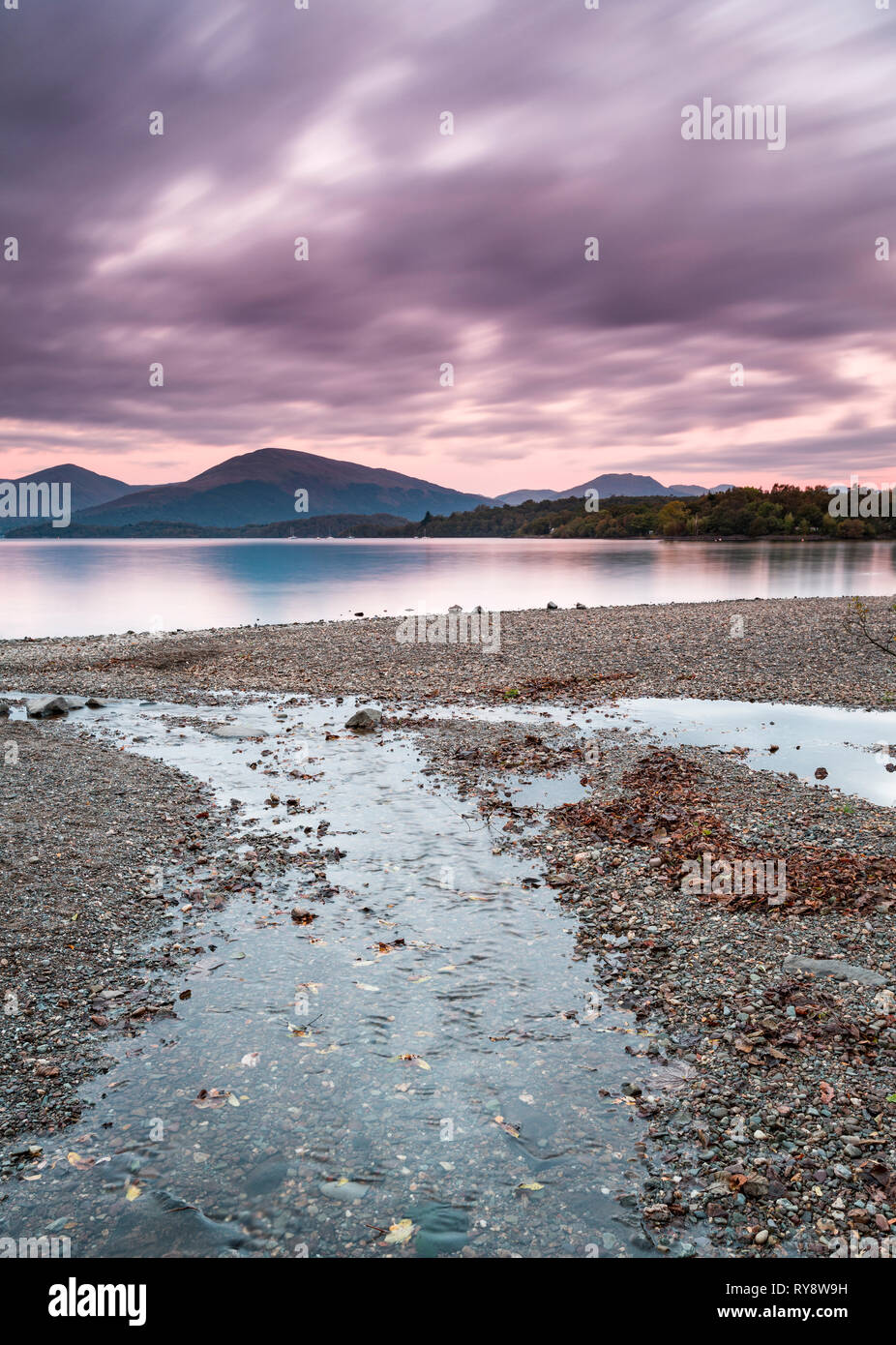 Sunrise a Milarrochy Bay, Loch Lomond Foto Stock