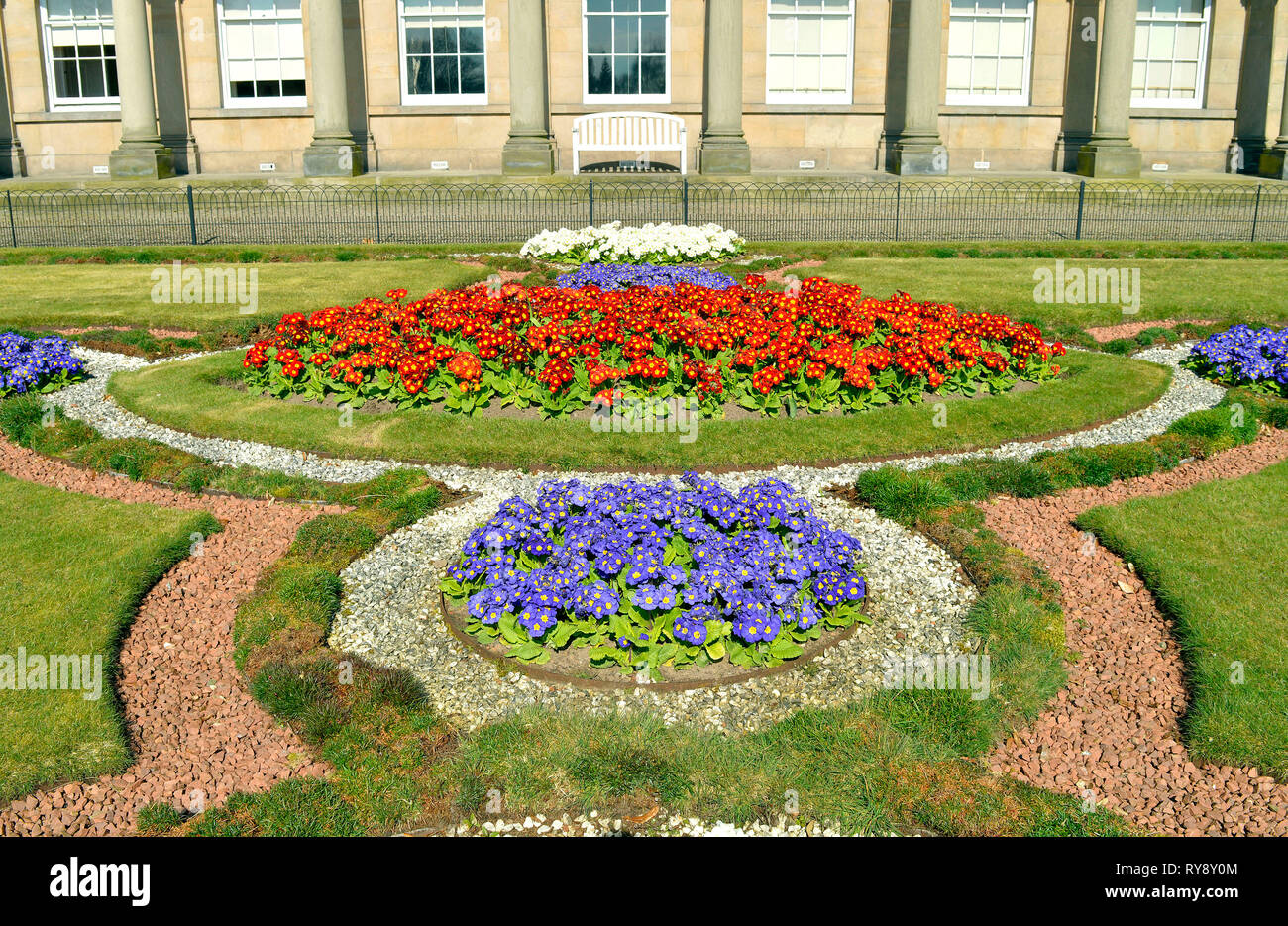 Primula Crescendo sfumature di blu, rosso sfumature e tonalità di bianco disposti in aiuole di fiori Foto Stock