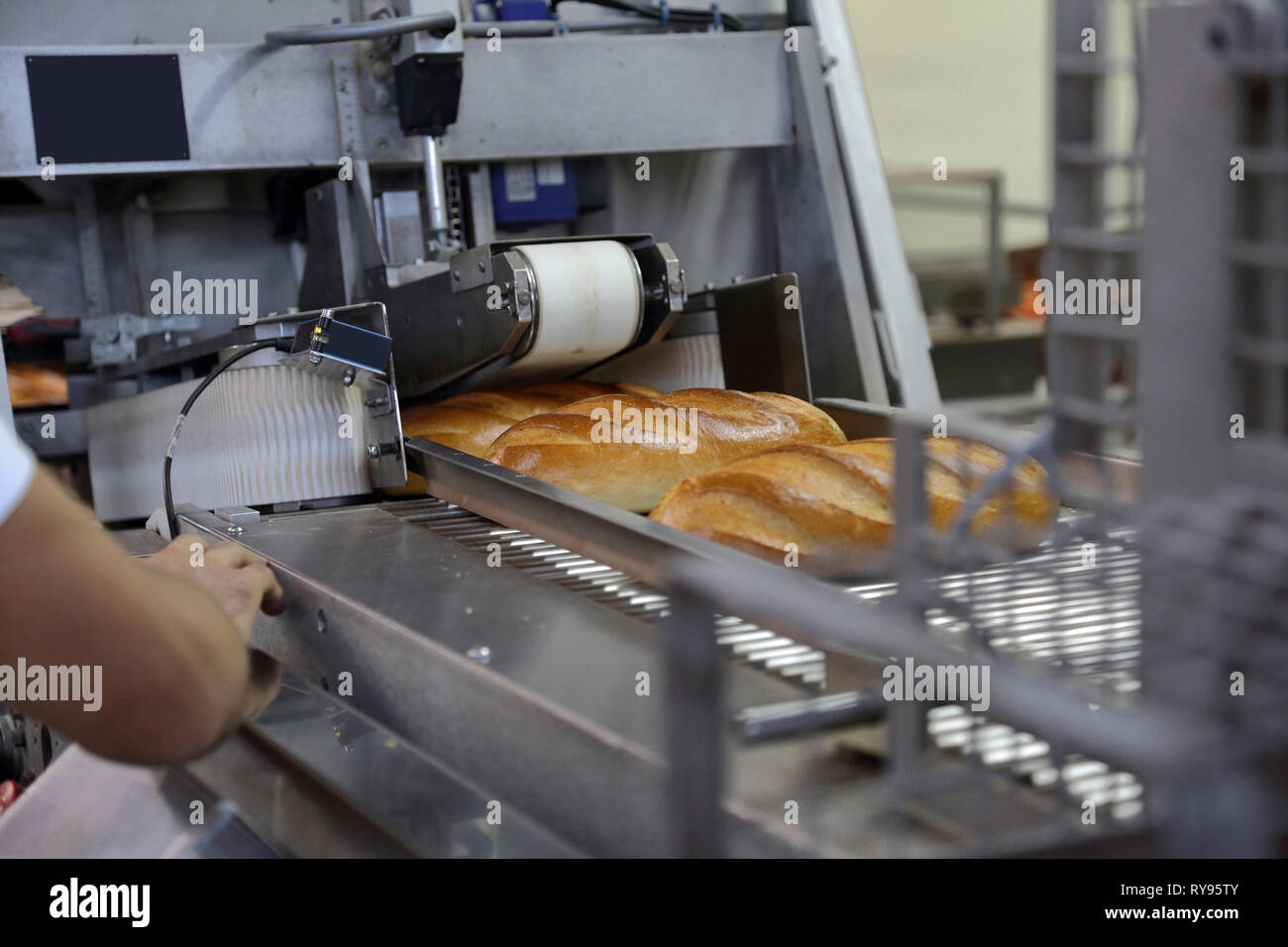 Pane cotto in fase di elaborazione su linea di produzione in fabbrica Foto Stock