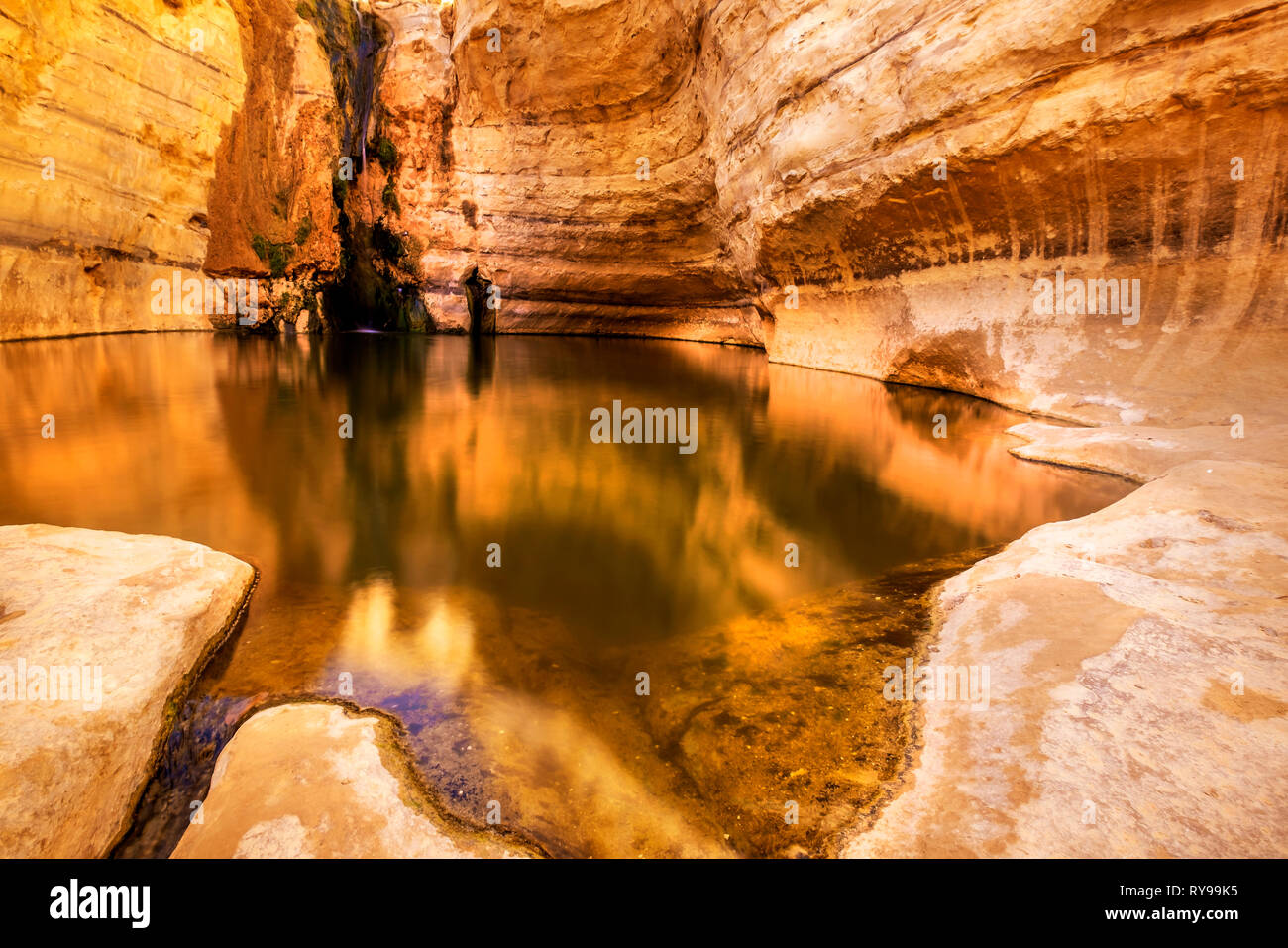 Lunga exepuser di acqua verso il basso nel canyon, Ein Ovdat riserva naturale, Israele Foto Stock