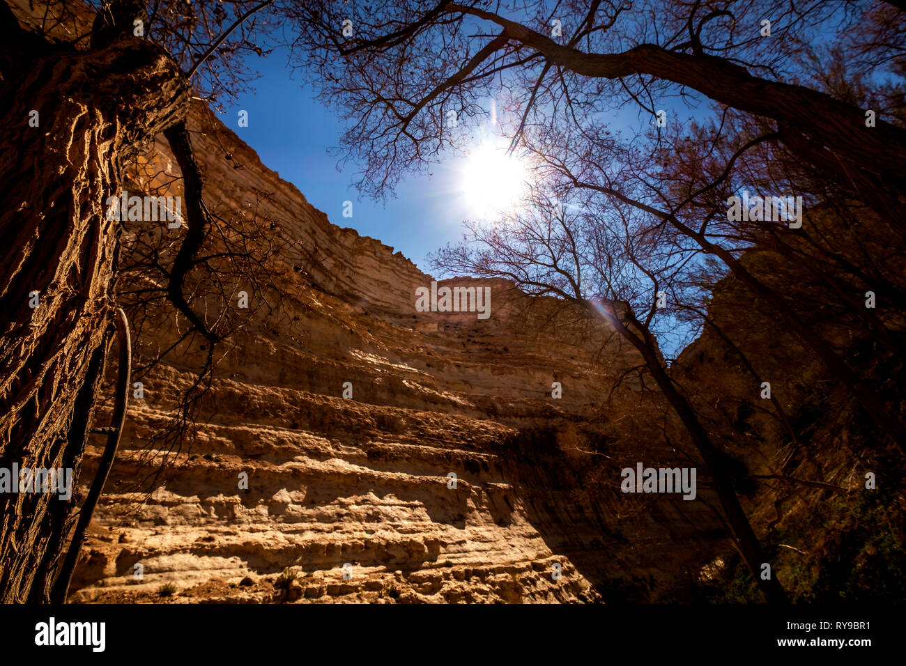 Vista del deserto in Ein Ovdat riserva naturale, Israele Foto Stock