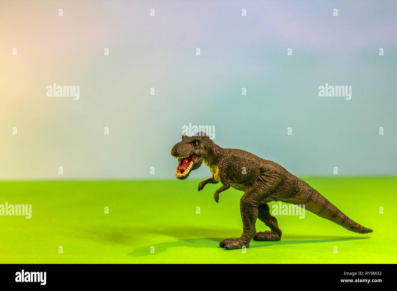 Dinosauro giocattolo in una foresta giocattolo. come un vero e proprio T-rex su uno studio luminoso dello sfondo con alberi di legno. Eco giocattoli. Foto Stock