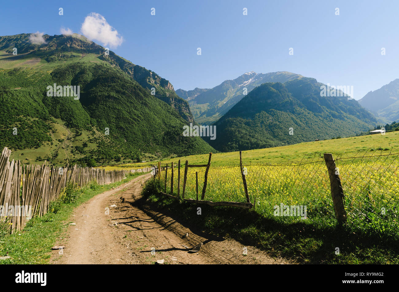 Paesaggio estivo nelle giornate di sole. La strada in un villaggio di montagna. Staccionata in legno e prati verdi. Zhabeshi, Zemo Svaneti, Georgia, nel Caucaso Foto Stock