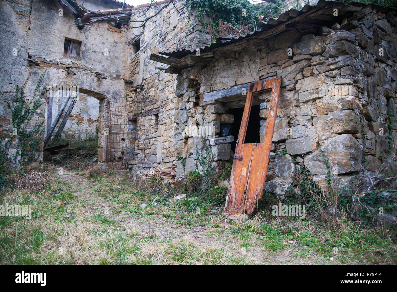 Casa abbandonata ricoperta con poison ivy in un villaggio abbandonato Slapnik nella regione Goriška Brda, Slovenia. Foto Stock