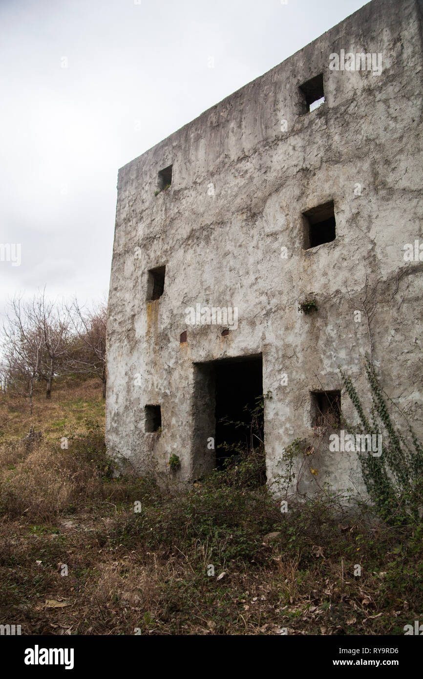Casa abbandonata ricoperta con poison ivy in un villaggio abbandonato Slapnik nella regione Goriška Brda, Slovenia. Foto Stock