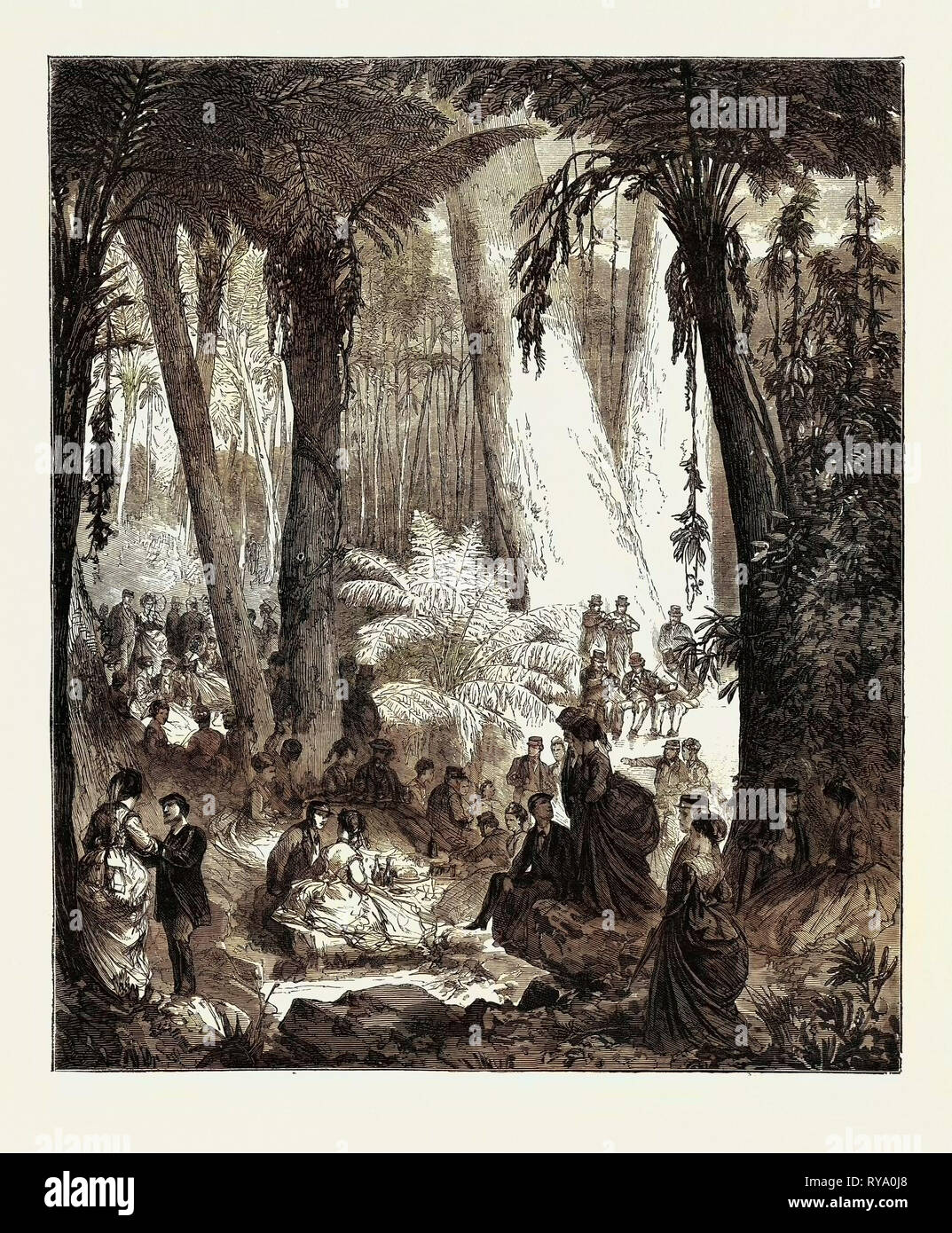 Picnic in Australia agli ufficiali della squadriglia, 1870 Foto Stock