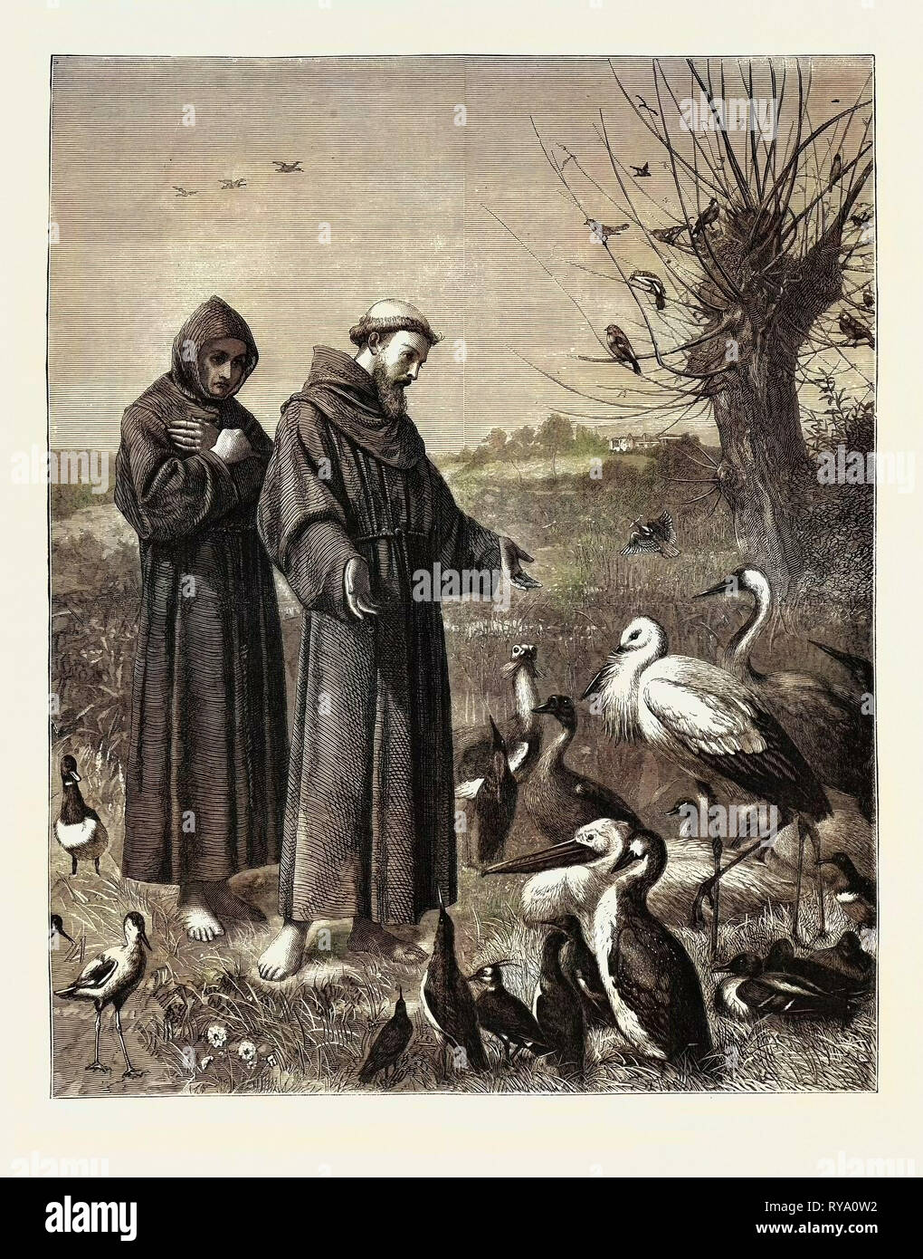 Predica Agli Uccelli Di San Francesco San francesco predica agli uccelli immagini e fotografie stock ad alta