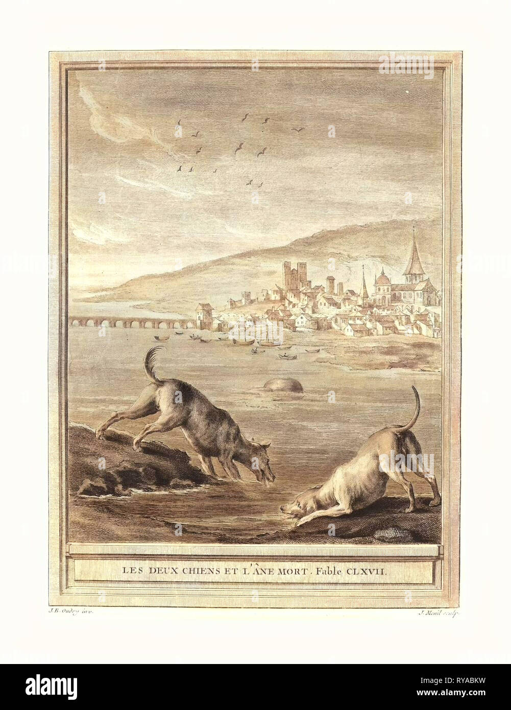 Elie du Mesnil dopo Jean-Baptiste Oudry (Francese, nato 1726 o 1728 ), Les Deux Chiens et l'Ane Mort (due cani e l'asino morto), pubblicato 1756, Hand-Colored attacco, dono del sig. e della sig.ra George W. Ware Foto Stock