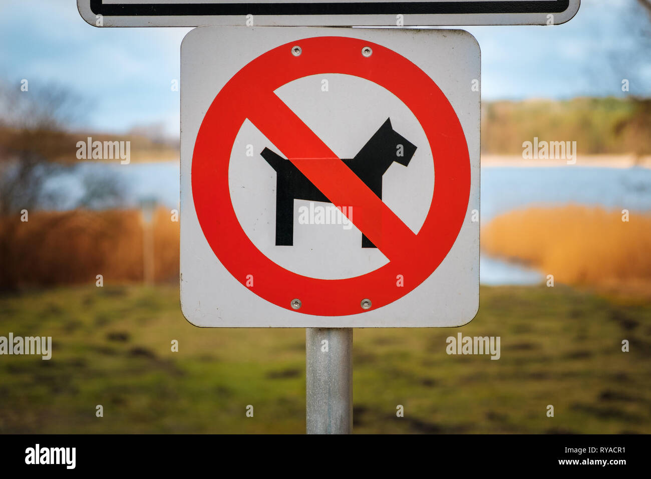 Cani non ammessi firmare al parco o sul lago - i cani non firmare con sfondo di prato Foto Stock