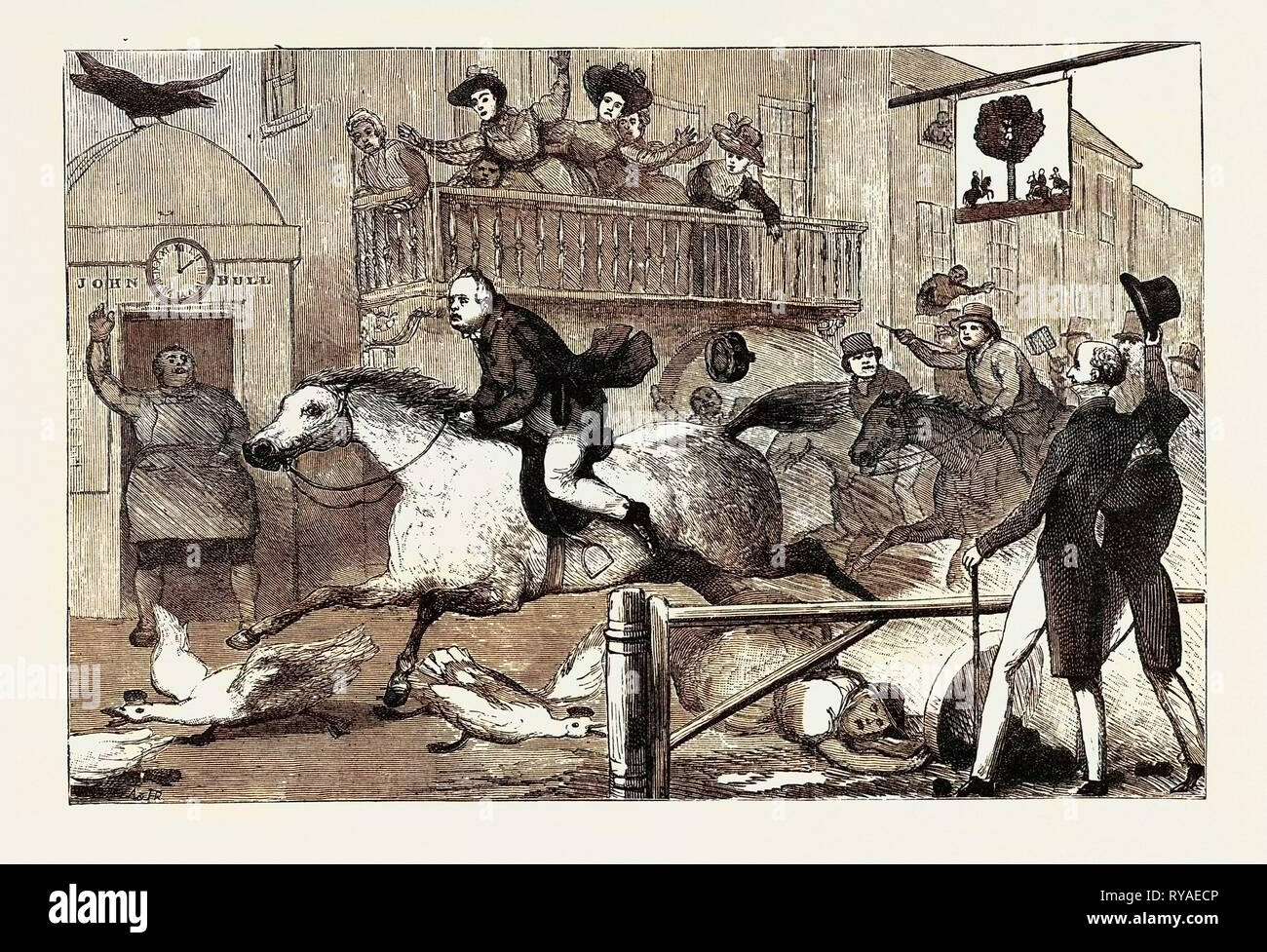 J. Doyle: John Gilpin, 13 maggio 1831 Foto Stock