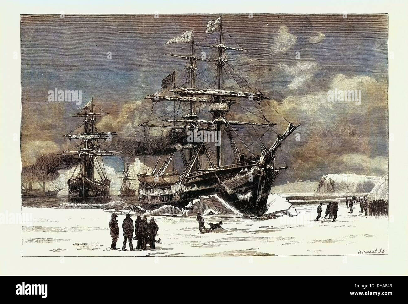 La guarnizione di tenuta del Terranova della pesca la flotta di Dundee forzando il suo modo attraverso il ghiaccio in San Giovanni Porto Foto Stock