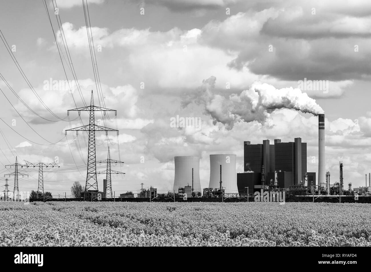 Das Braunkohlekraftwerk Schkopau mit Stromleitungen vor einem Rapsfeld Foto Stock