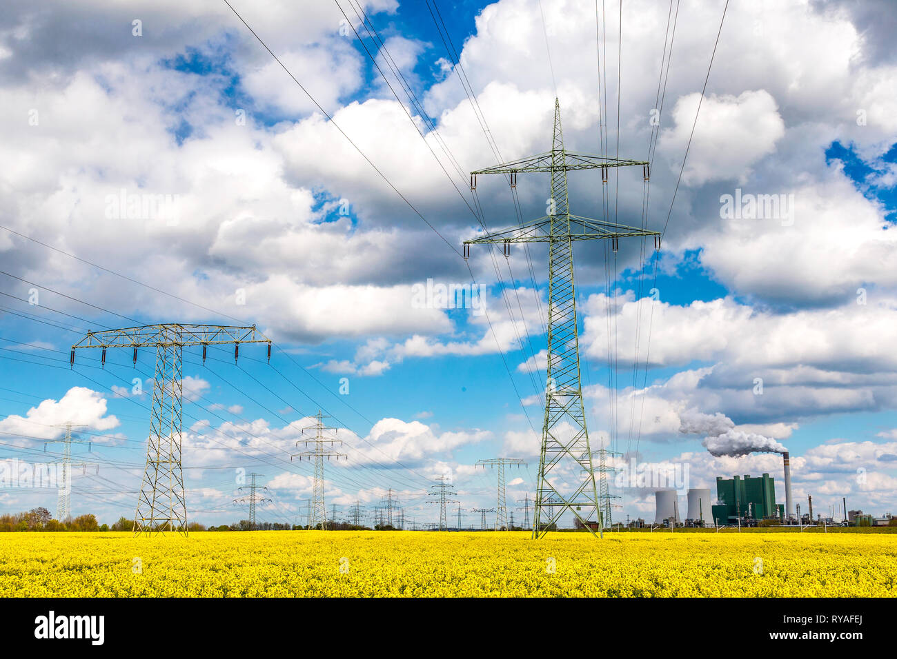 Das Braunkohlekraftwerk Schkopau mit Stromleitungen vor einem Rapsfeld Foto Stock