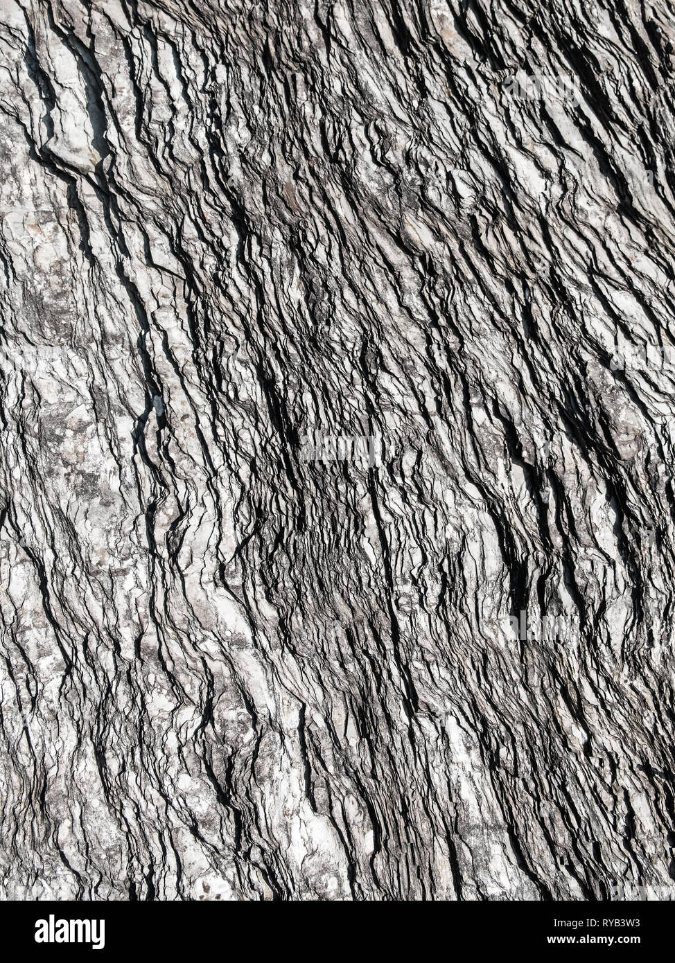 La sezione di slated roccia su una scogliera sulla costa del Devon Regno Unito Foto Stock
