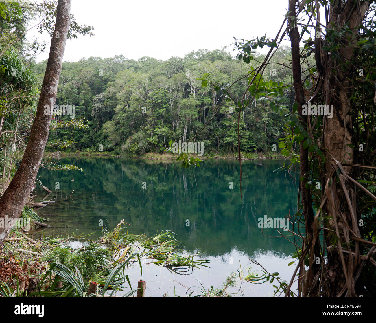 Vista del lago Eacham, un famoso lago di origine vulcanica sulla Atherton Altopiano del Queensland, Australia Foto Stock