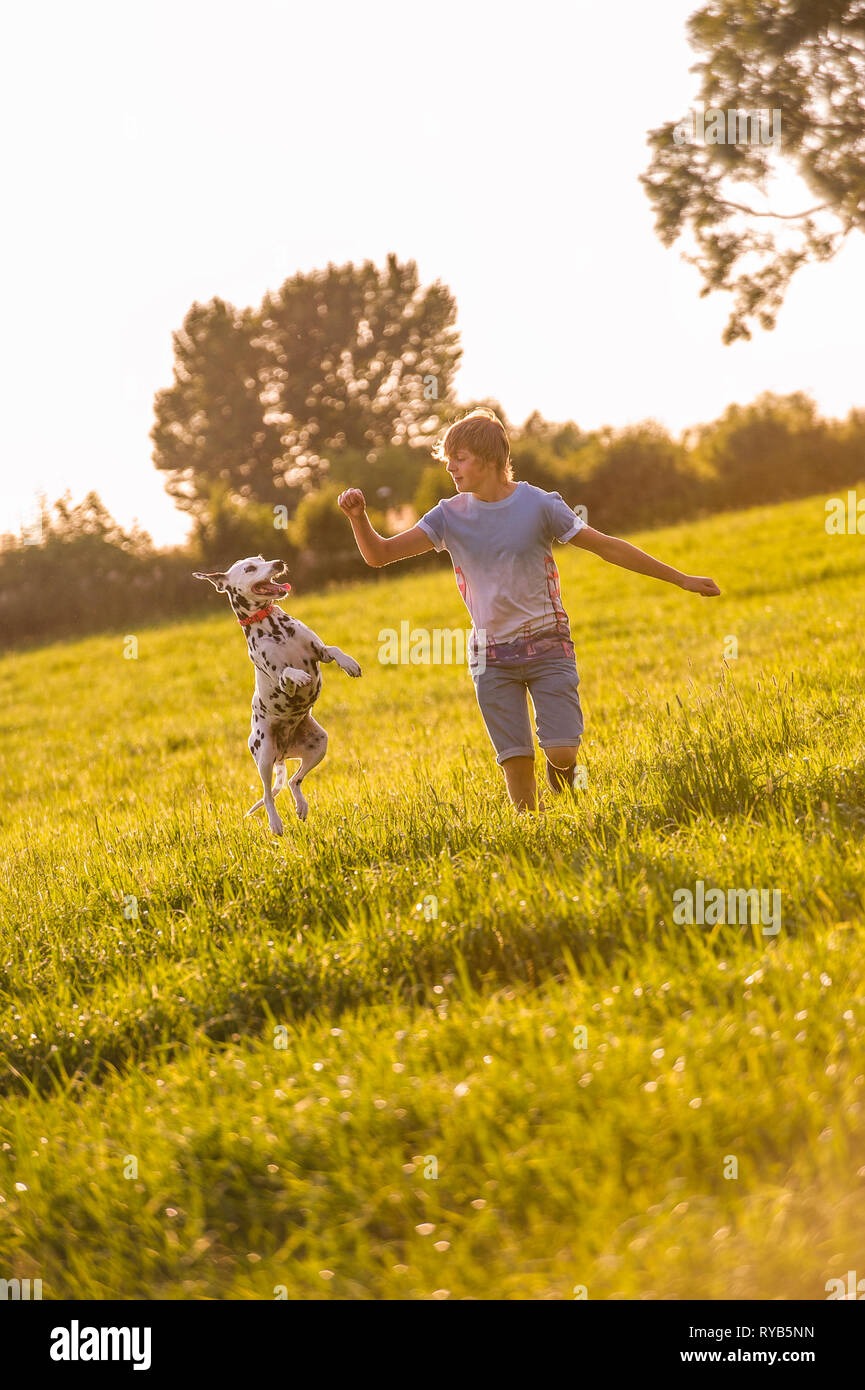 Un cane dalmata salti in aria mentre un giovane ragazzo cammina in aperta campagna. Foto Stock