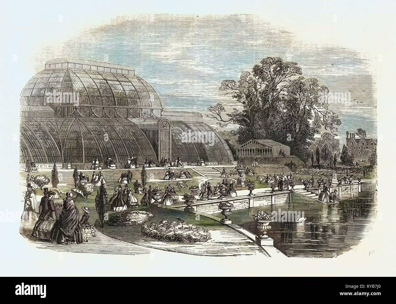 Il giardino delle palme, Kew Gardens, Londra, Regno Unito, 1859 Foto Stock