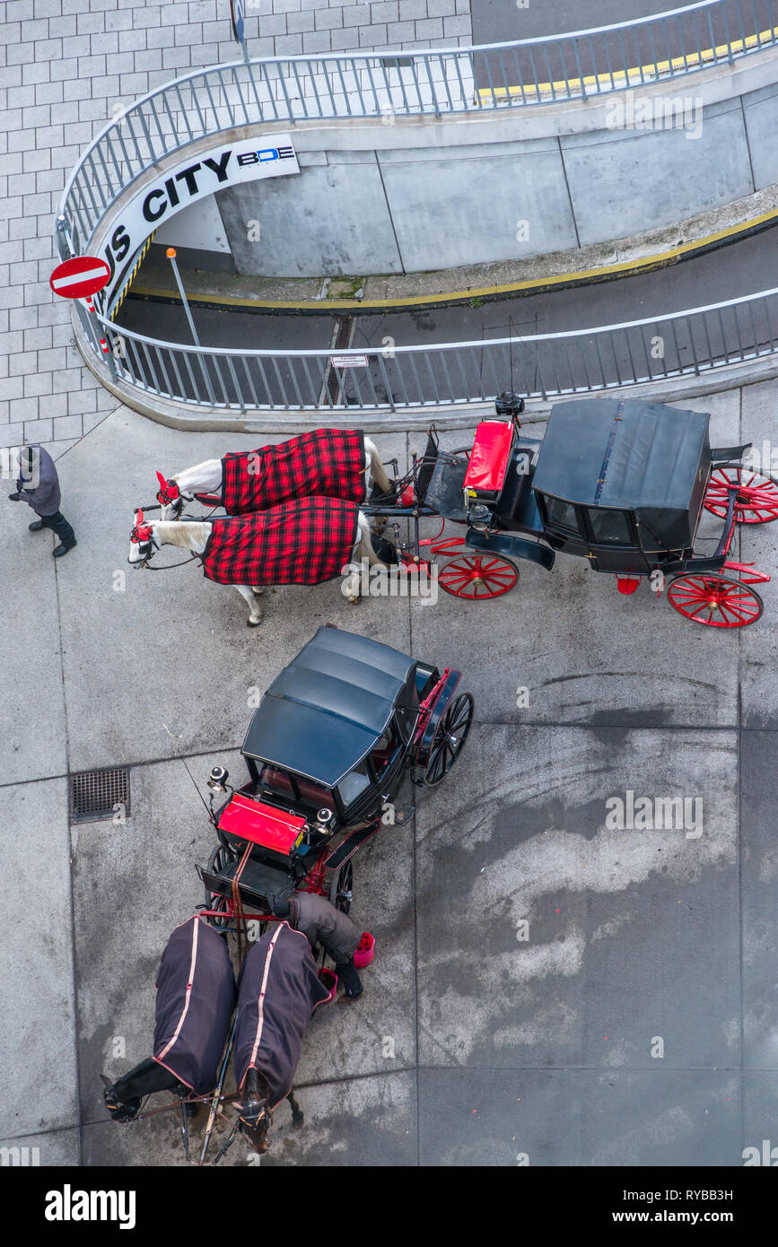 Vienna cavallo e carrozza visto dalla parte superiore della cattedrale di St Stephen torre nord, Austria. Foto Stock