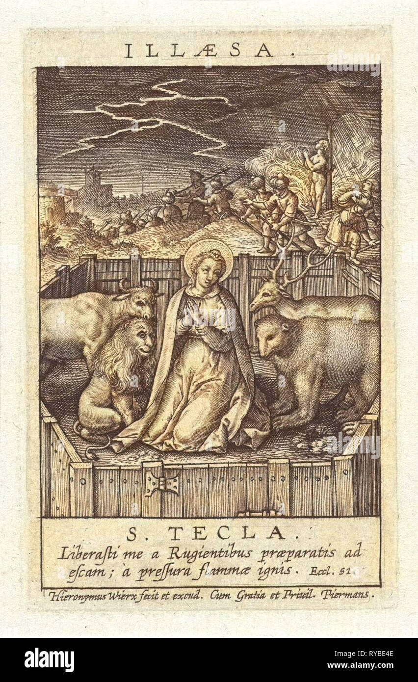 Risalente a un uomo timido Toro