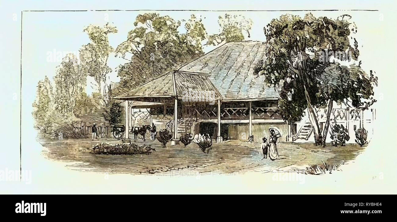 La coltivazione del tabacco in Sumatra, Indonesia: una piantatrice's House, 1890 l'incisione Foto Stock