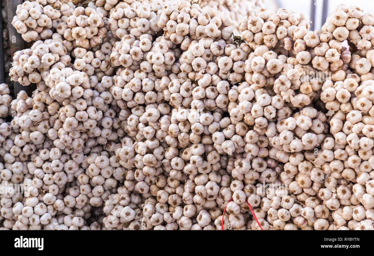 Pila di stringhe di bulbi di aglio in cibo bancarelle del mercato. Bulbo aglio composta di chiodi di garofano con gusto pungente e forte odore vengono utilizzati per alimentare un aromatizzante Foto Stock