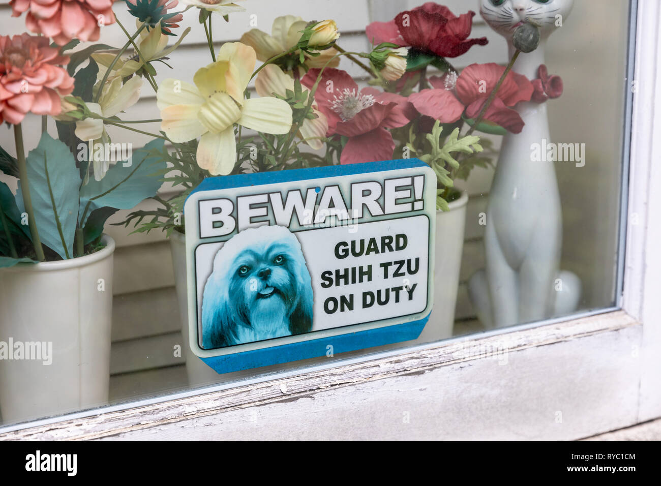 "Attenzione! Guard Shih Tzu sul dovere", segno nella finestra, con fiori di plastica in background Foto Stock