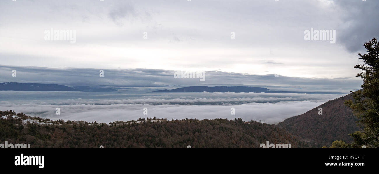 Un nuvoloso, brumoso paesaggio può essere visto che salgono attraverso le nuvole basse. La scena alpina ha inverno alberi in primo piano e le alte montagne. Foto Stock