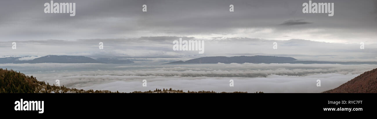 Un nuvoloso, brumoso paesaggio può essere visto che salgono attraverso le nuvole basse. La scena alpina ha inverno alberi in primo piano e le alte montagne. Foto Stock