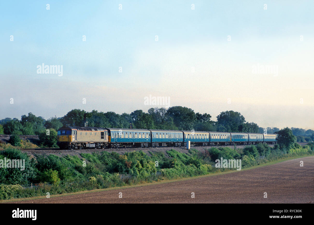 Una classe 33 locomotiva diesel serie 33116 e il rinnovato 8TC impostare la lavorazione di un charter privato a Worting giunzione. 5 settembre 1993. Foto Stock Una classe 33 locomotiva diesel serie 33116 e il rinnovato 8TC impostare la lavorazione di un charter privato a Worting giunzione. 5 settembre 1993. Foto Stock