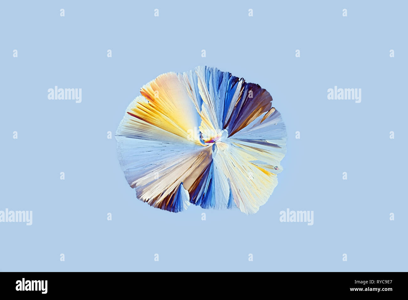 Arte chimica. Questo è acido citrico, un comune conservante alimentare, fotografato cristallizzato su un microscopio vetrino di vetro. Foto Stock