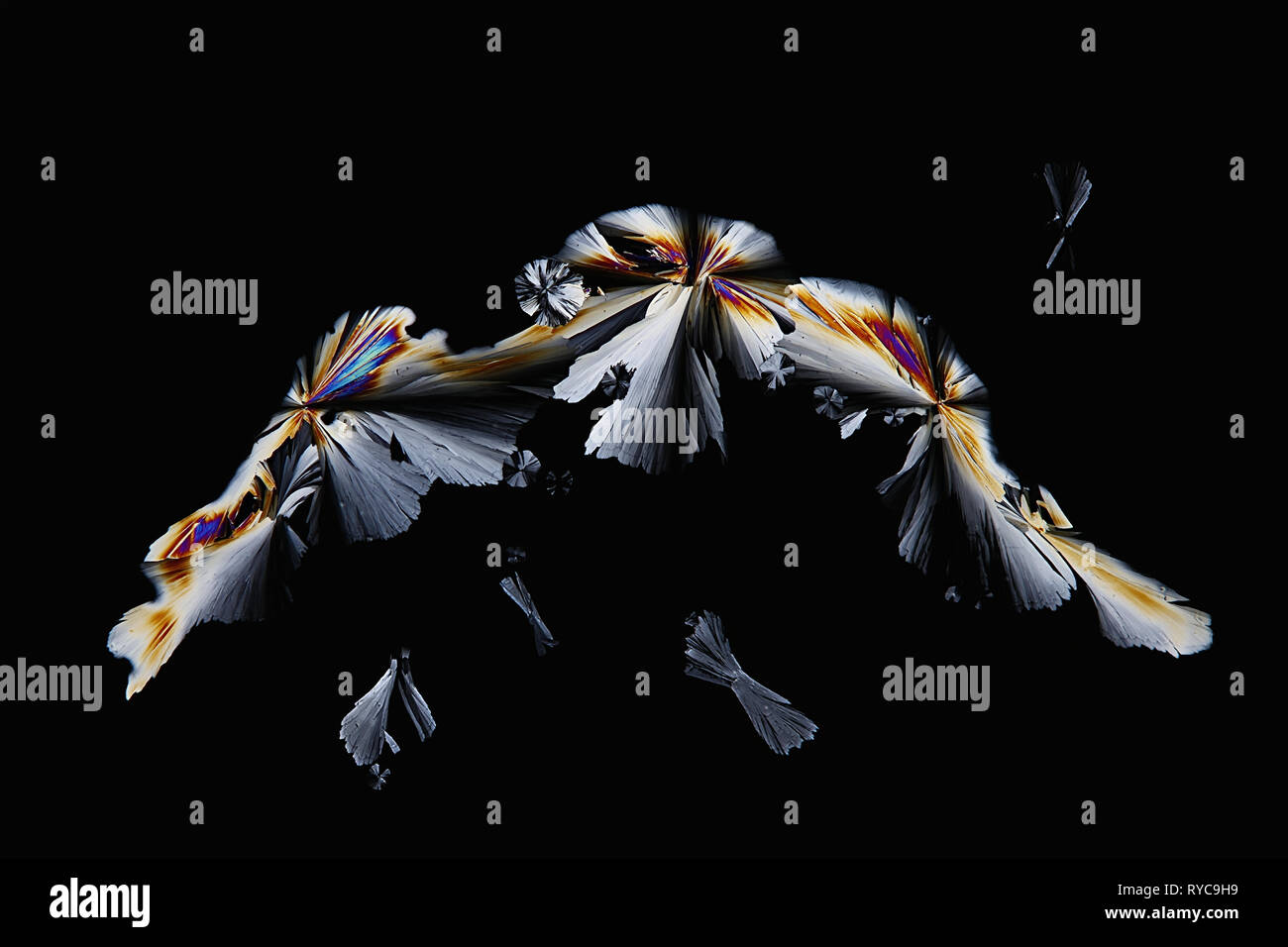 Chimica e tecnica. Questo è acido citrico, un comune conservante alimentare, fotografato cristallizzato su un microscopio vetrino di vetro. Foto Stock