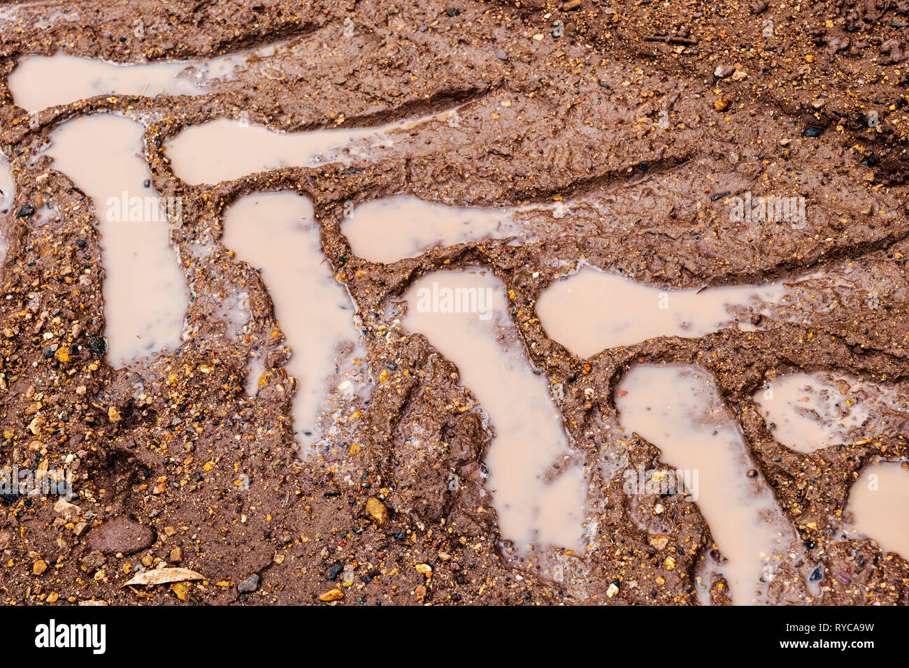 Terreni fangosi tracce di pneumatici su un ranch strada sterrata; central Colorado; USA Foto Stock