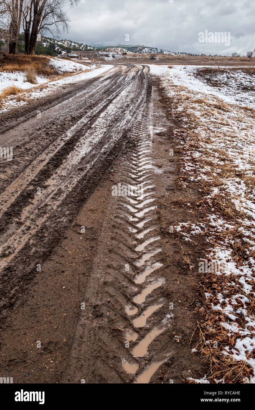 Terreni fangosi tracce di pneumatici su un ranch strada sterrata; central Colorado; USA Foto Stock