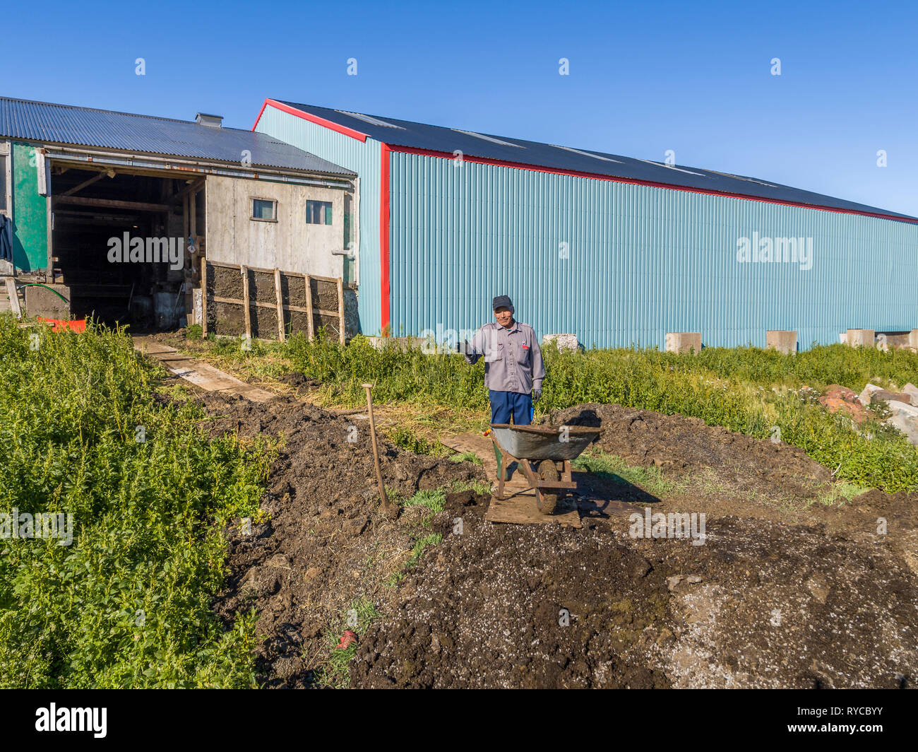 Local Allevatore ovino, Qassiarsuk o Brattahlid, Groenlandia meridionale Foto Stock