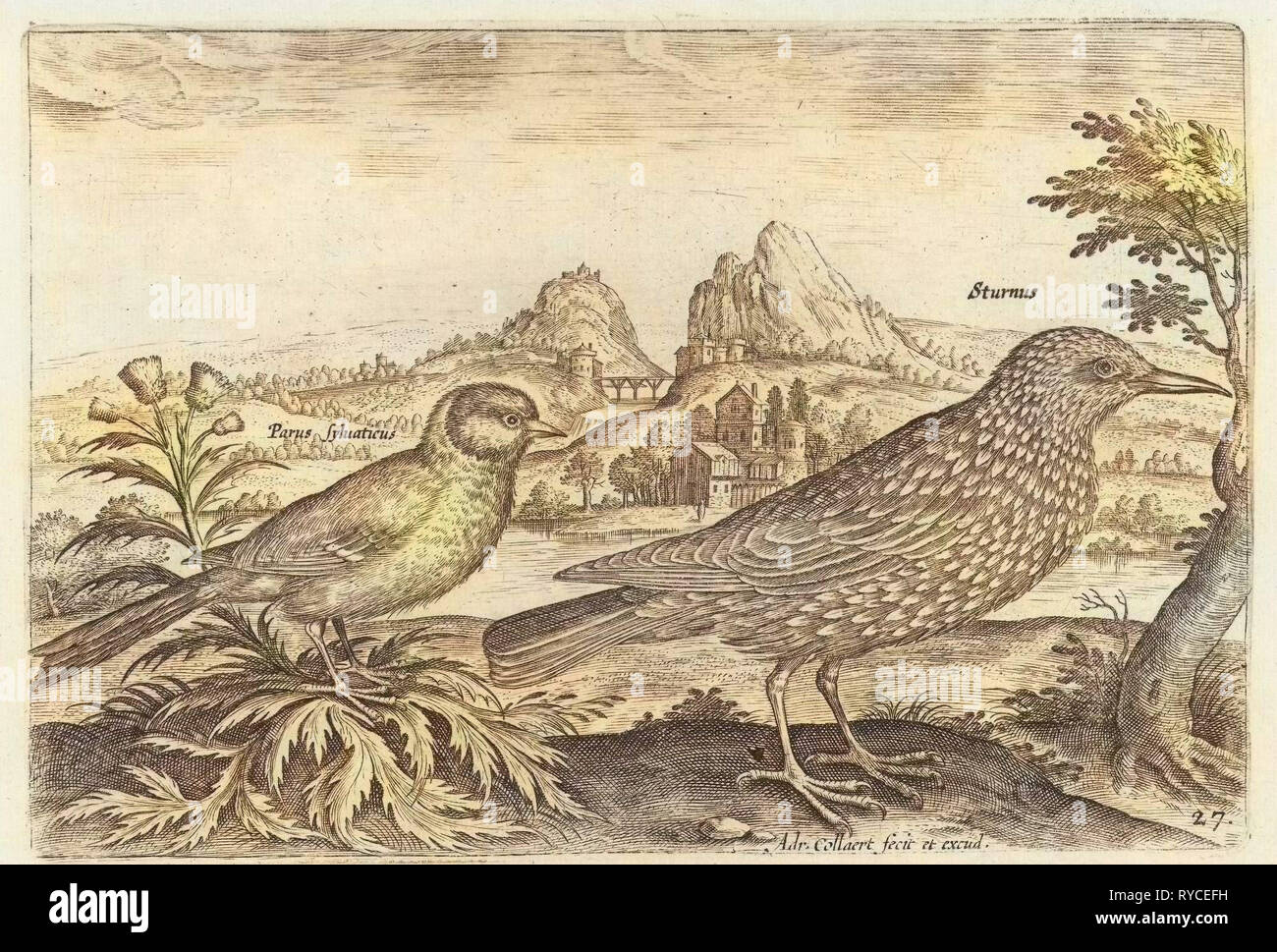 Due uccelli in un paesaggio, Adriaen Collaert, 1598 - 1602 Foto Stock