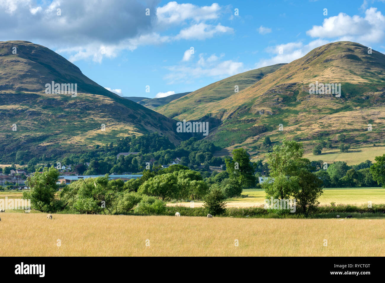 L'Alva Glen nel Ochil Hills dai boschi roulotte, nei pressi di Alva, Clackmannanshire, Scotland, Regno Unito Foto Stock