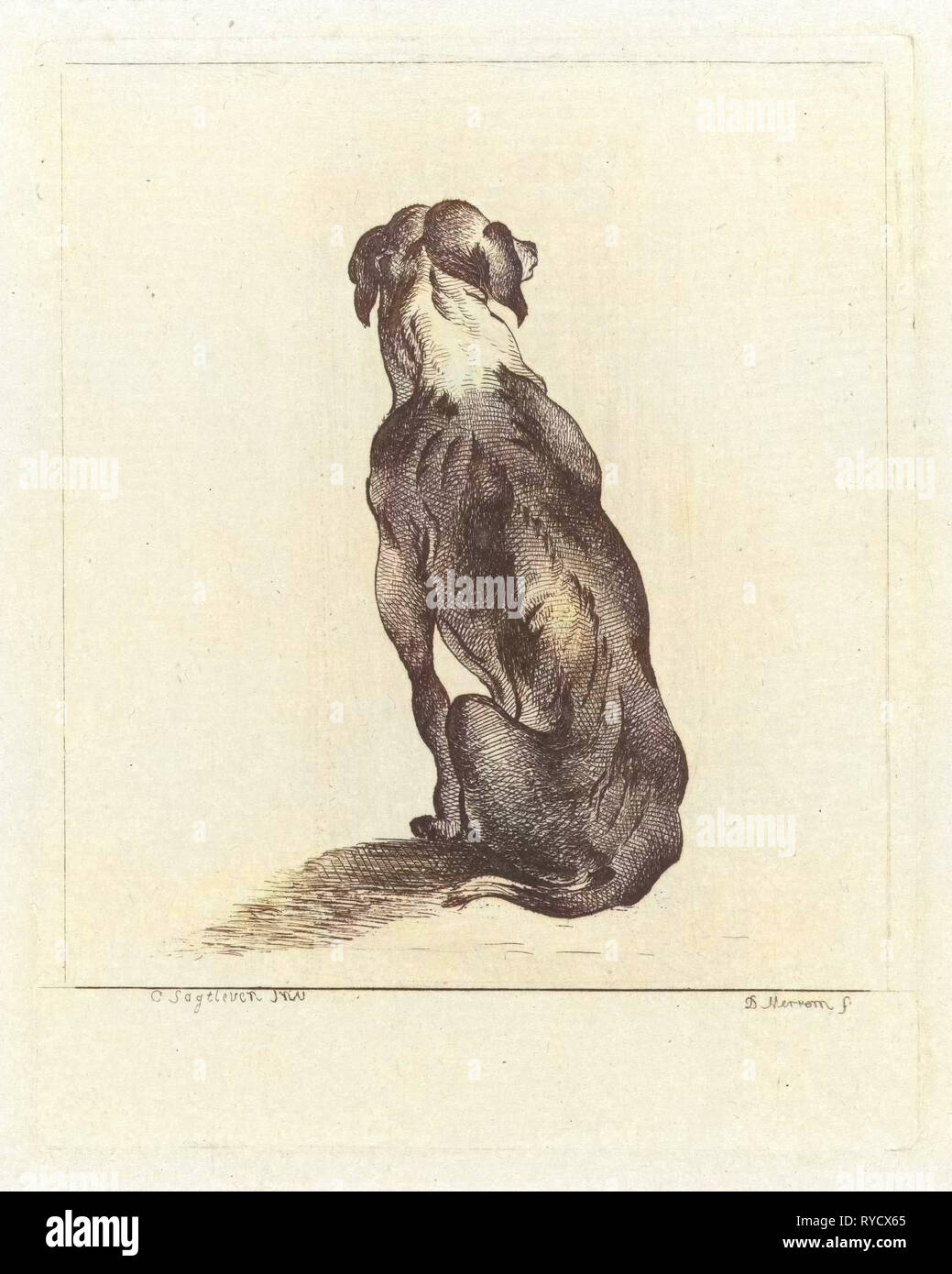 Udienza cane, D. Merrem, 1700 - 1800 Foto Stock