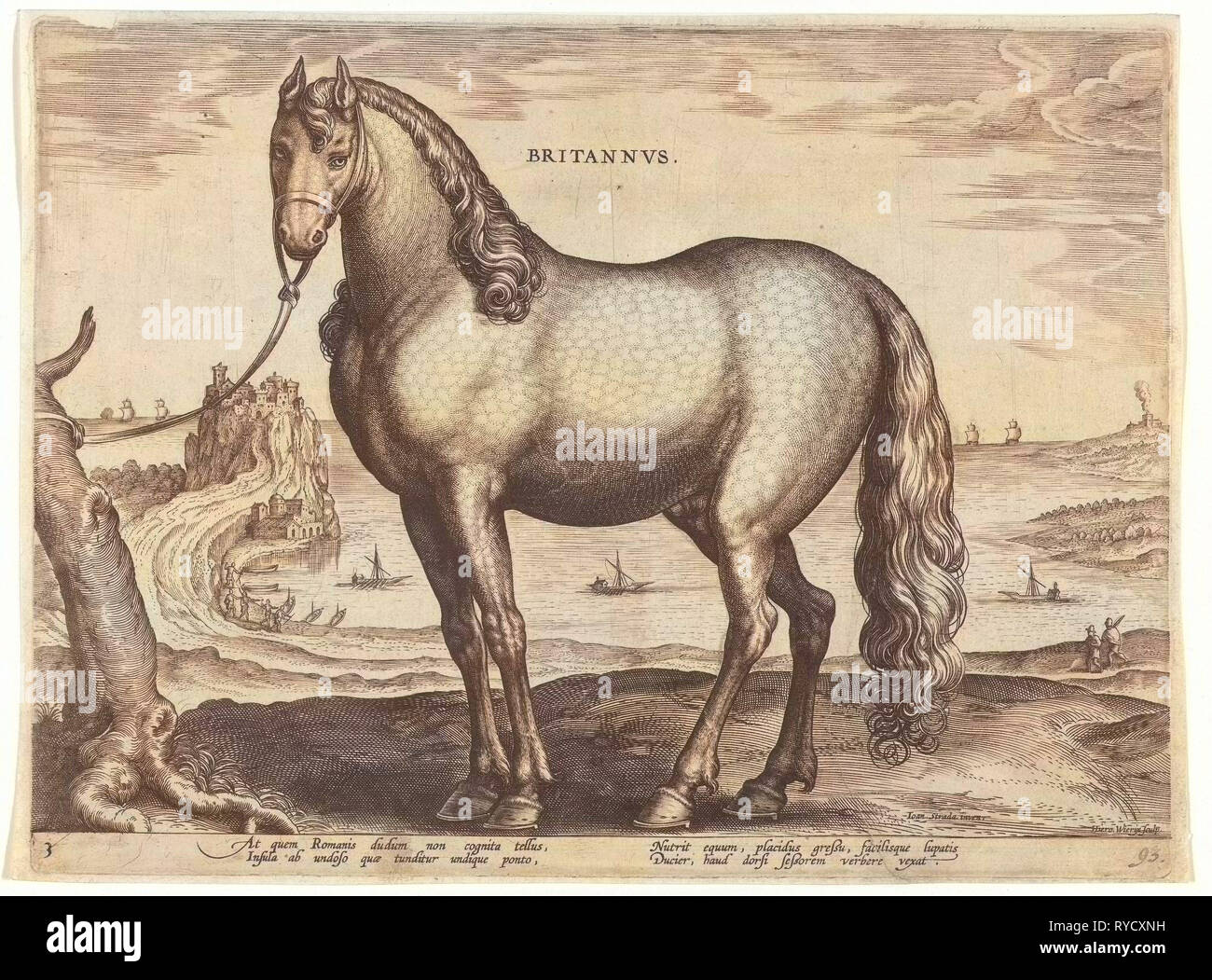 Cavallo dalla Bretagna, Brittanus, Hieronymus WIERIX, Philips Galle, c. 1583 - c. 1587 Foto Stock