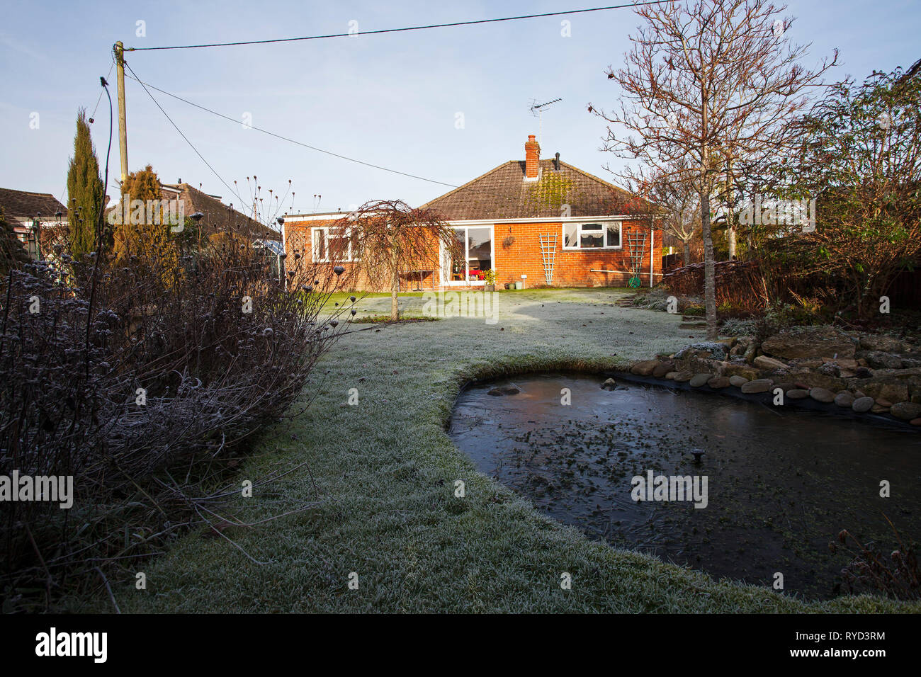 Giardino urbano con laghetto prato alberi e bungalow Ringwood Hampshire REGNO UNITO Inghilterra Dicembre 2016 Foto Stock