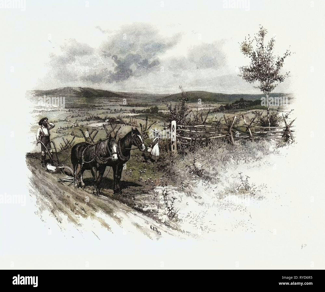 Da Toronto, verso ovest, Canada, diciannovesimo secolo incisione Foto Stock