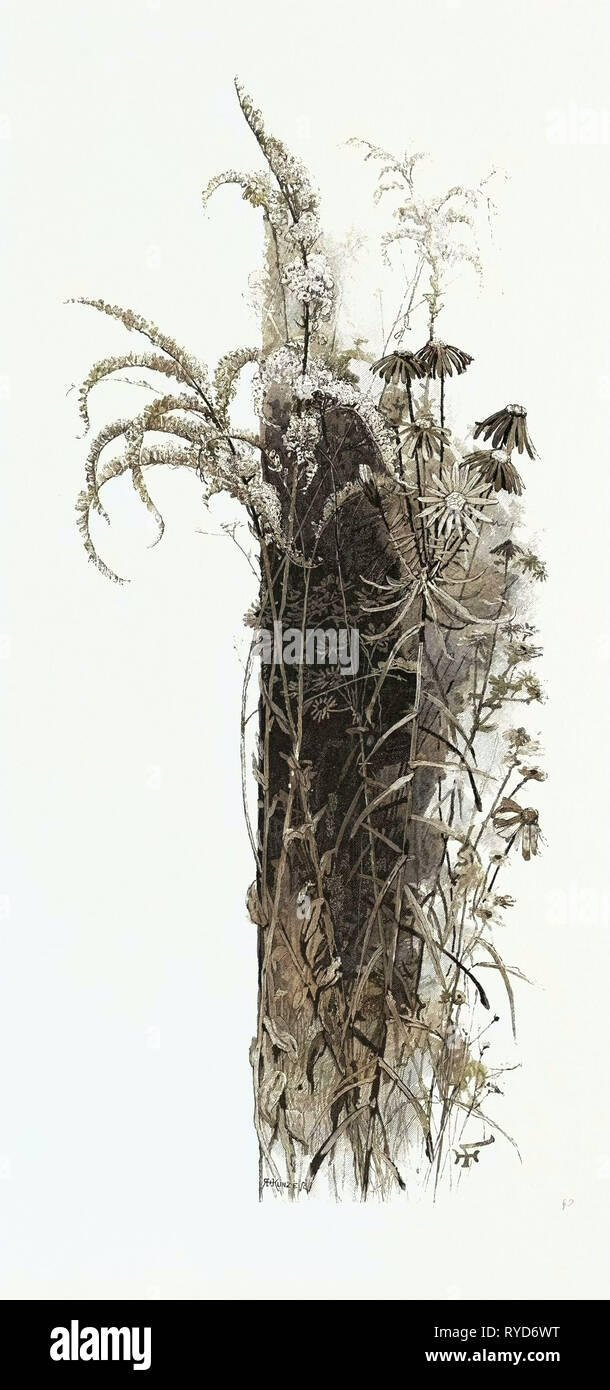 Edicola fiori, Canada, diciannovesimo secolo incisione Foto Stock