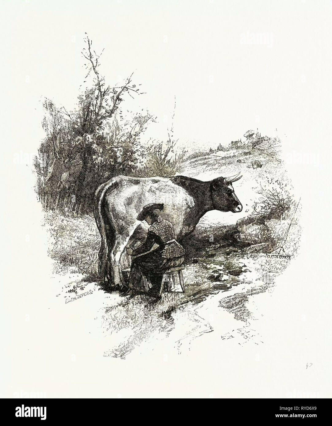 La mungitura della mucca, Canada, diciannovesimo secolo incisione Foto Stock