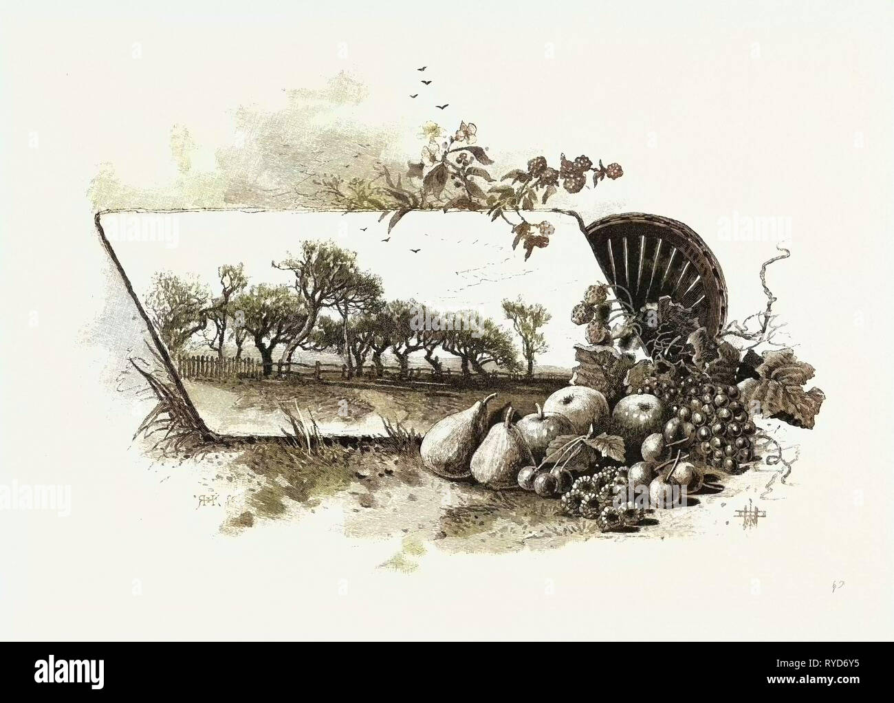 Centrale di Ontario, Canada, diciannovesimo secolo incisione Foto Stock